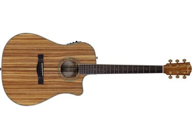 Fender CD-220CE All Zebrano