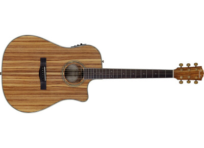 Fender CD-220CE All Zebrano