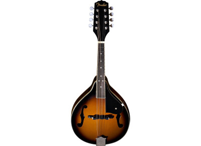 Fender FM-101
