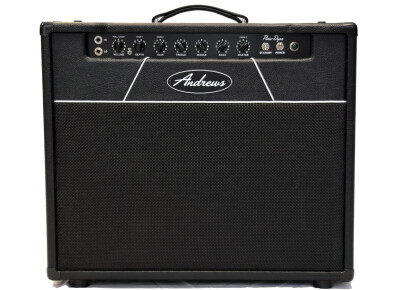 Andrews Amplification PD-20 Combo