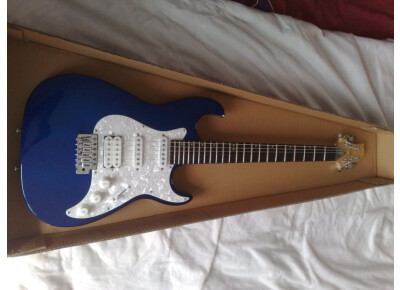 Greg Bennett Malibu MB50