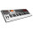 Voir la photo du M-Audio Axiom A.I.R. 49 M-Audio Axiom A.I.R. 49