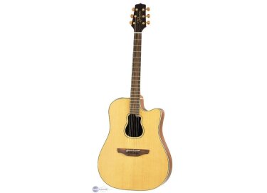 Takamine Garth Brooks GB7C