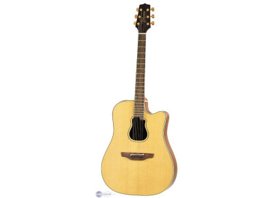 Takamine Garth Brooks GB7C