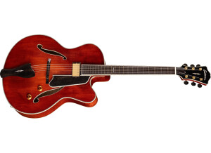 Eastman AR810CE