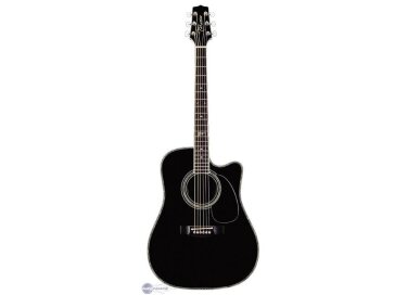 Takamine Steve Wariner SW341SC