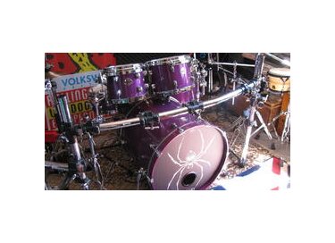 Ddrum custom maple shell
