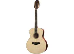 Taylor GS7e-12