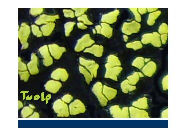 Detunized DTS040 - Twolp