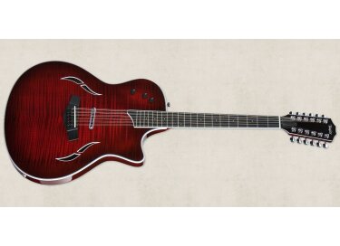 Taylor T5S1-12