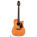 Takamine EAN15C