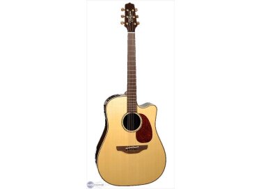 Takamine EAN16C