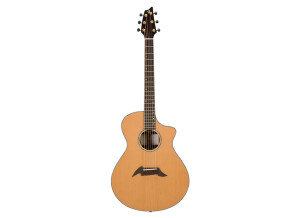 Breedlove C25/CRe