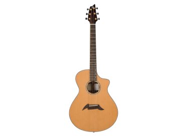 Breedlove C25/CRe