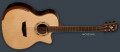 Nouvelle électro-acoustique Washburn WCG25SCE