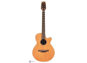 Takamine EAN30C