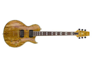 Aria PE EXO SP