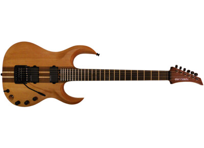 Esoterik Guitars DR3