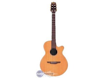 Takamine EAN60C