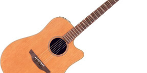 takamine tan 10 c en étui année 2002
