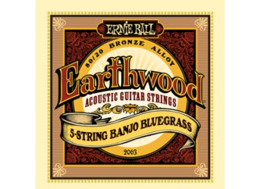 Ernie Ball EarthWood 80/20 Bronze Banjo