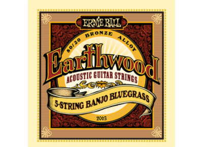 Ernie Ball EarthWood 80/20 Bronze Banjo