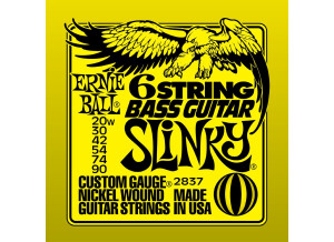 Ernie Ball 6-String Slinky Bass Guitar Nickel Wound