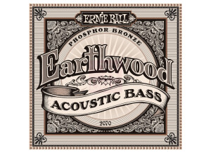 Ernie Ball Earthwood Acoustic Bass