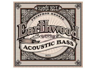 Ernie Ball Earthwood Acoustic Bass