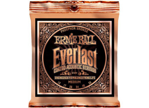 Ernie Ball Everlast Coated Phosphor Bronze Acoustic