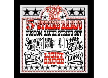 Ernie Ball Stainless Steel Loop End Banjo