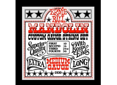 Ernie Ball Stainless Steel Loop End Mandolin