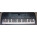 See the photo of the Yamaha PSR-200 Yamaha PSR-200