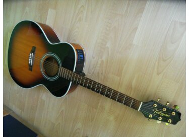Takamine FD250 SMSB