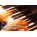 Voir la photo du AcustiX Concert Grand Piano AcustiX Concert Grand Piano