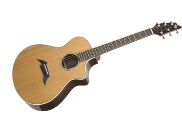 Breedlove C25/CRe-H