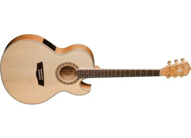 Washburn EA40SCE