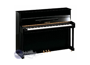 Yamaha C113T Traditional