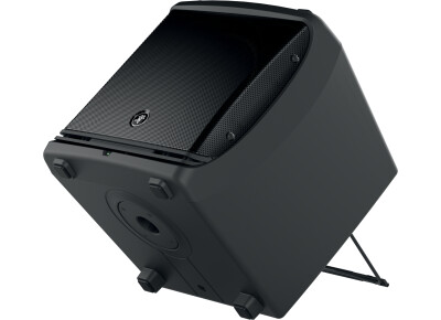 Mackie DLM12