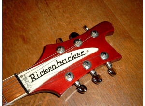 Rickenbacker 481