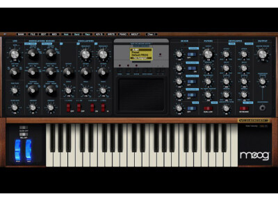 Moog Music Voyager Plug SE