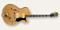 Guitare électrique Guild T-500