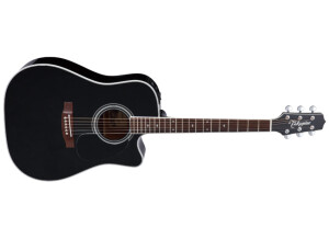 Takamine EF341SC