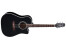 Takamine EF341SC