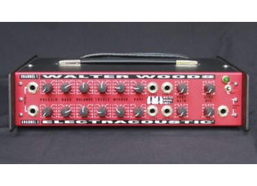 Walter Woods electracoustic