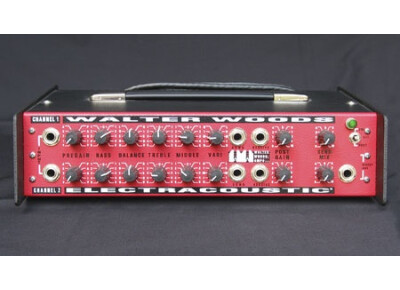 Walter Woods electracoustic
