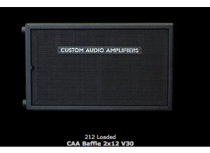 Custom Audio Electronics CAA 2x12