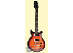 Hamer Sunburst Archtop Flametop