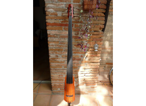 Ns Design CR4T Bass