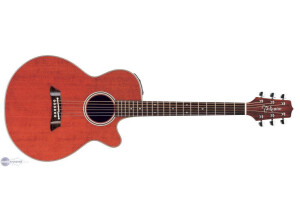 Takamine EF261SAN